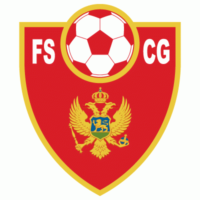UEFA Montenegro Pres Primary Logo t shirt iron on transfers